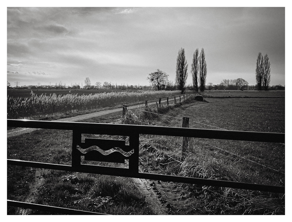 Dutch landscape with a fence up close. 