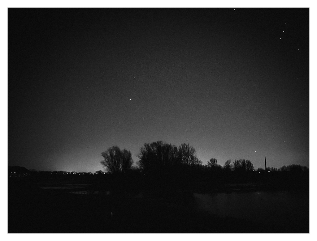 Night sky with a dimly lit horizon, showing black silhouettes of trees in front of it. Shown in black & white. 